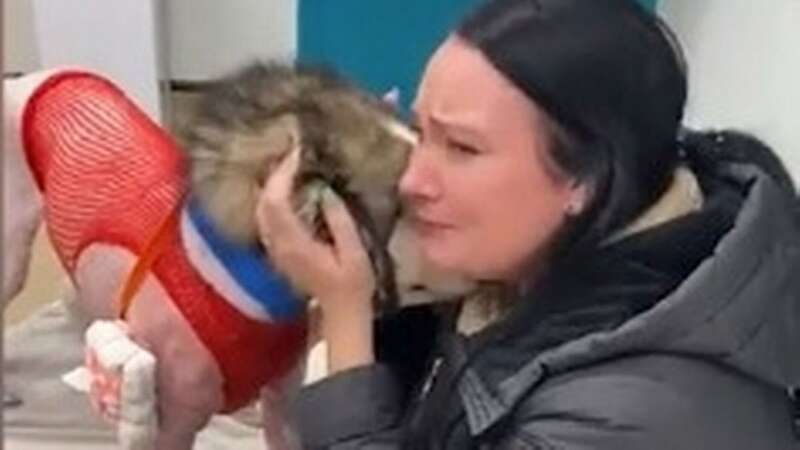 Emotional moment woman reunites with pet pooch after vicious dog attack on walk