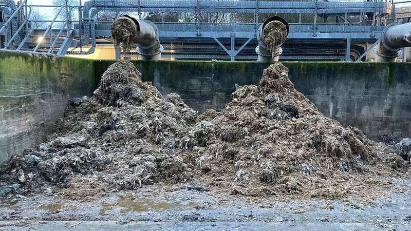 Seven Trent has shared photos of skips full of revolting waste caused by people flushing wipes down the loo (Image: Severn Trent)