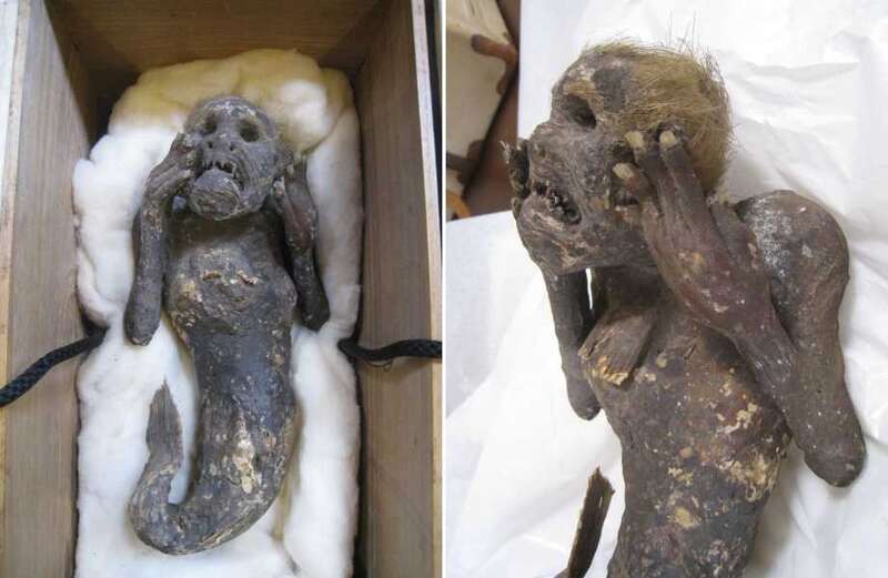 Mystery of 300-year-old mummified 'mermaid' with 'human face' finally solved