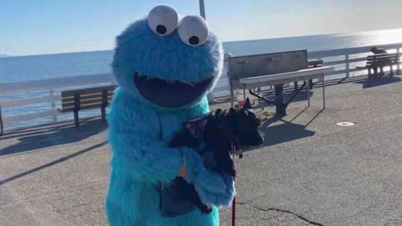 The costumed man has been creeping out visitors to the Santa Cruz Wharf in California (Image: KSBW)