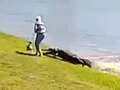 Moment 10ft alligator lunges at woman before dragging and killing her in lake