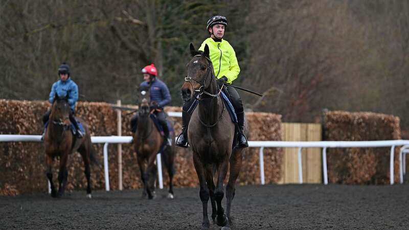 Long odds-on Champion Hurdle favourite Constitution Hill exercising at Kempton under Nico de Boinville (Image: The Jockey Club/Fran Altoft)