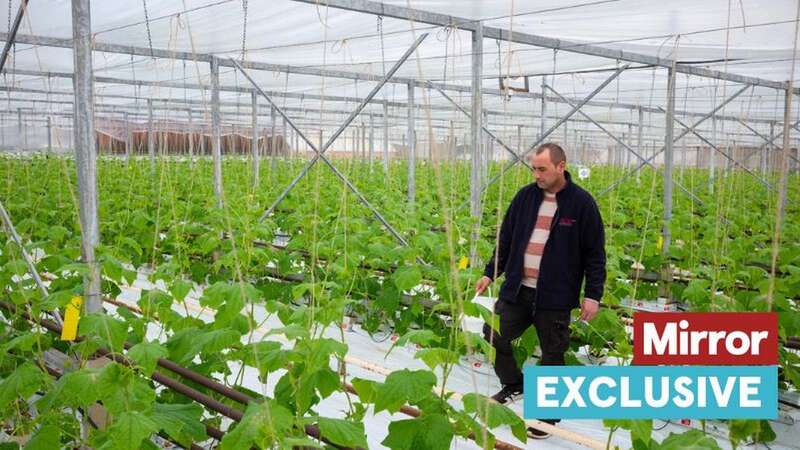 Brit farmer who tried to warn supermarkets knows what