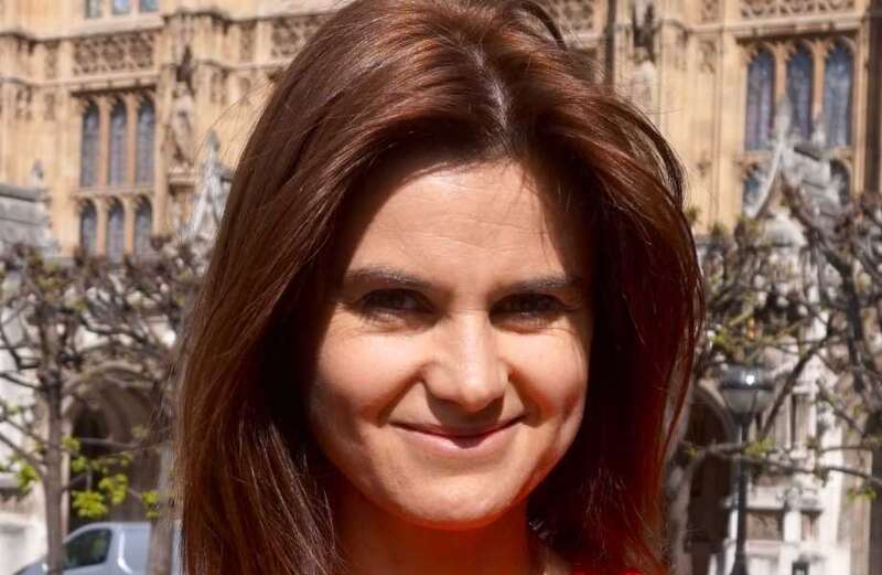 Dangerous abuse & threats to MPs 'have worsened since Jo Cox's murder'