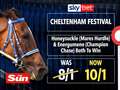 Sky Bet Cheltenham boost: Honeysuckle & Energumene both to win NOW 10/1!