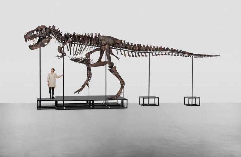 Entire skeleton of Tyrannosaurus rex set to fetch eye-watering sum at auction