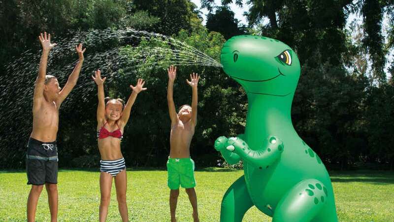 Shoppers found themselves looking twice at the giant inflatable toy (Image: Aldi)