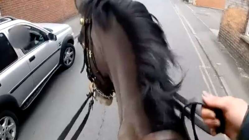 Moment police officers on galloping horses chase driver seen using mobile phone