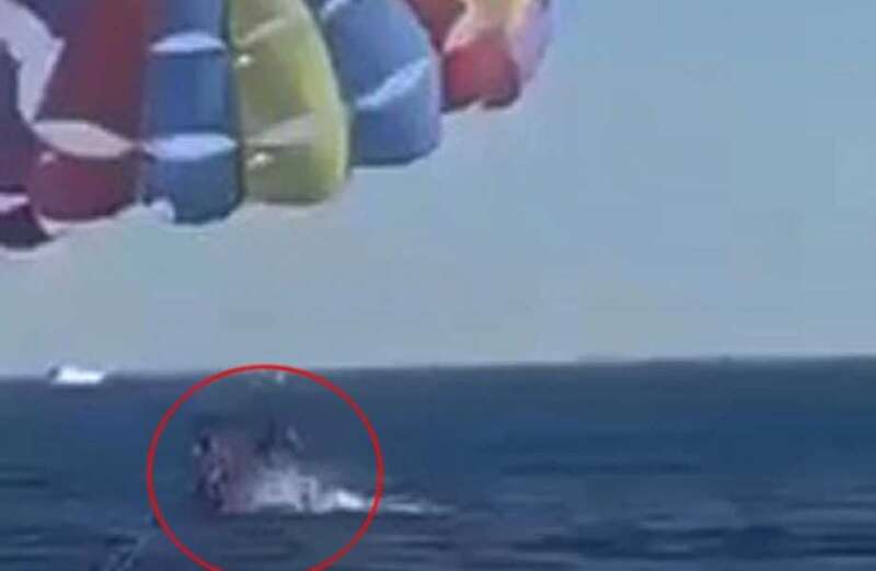 Shocking moment shark leaps out of the sea and bites parasailer tourist's FOOT