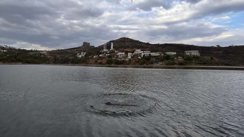 A large silhouette is seen in the waters of the Madin Dam in Atizapan de Zaragoza, in Mexico (Image: Newsflash)