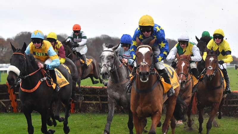 Haydock Park features a seven-race card, where Newsboy