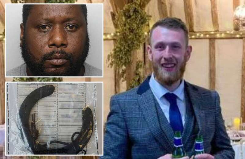 Man, 42, guilty of murdering train passenger with a horseshoe after row