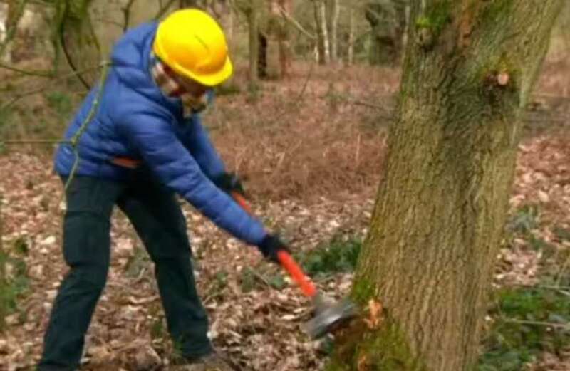 Countryfile viewers rip into 'vile and disgusting' forest segment