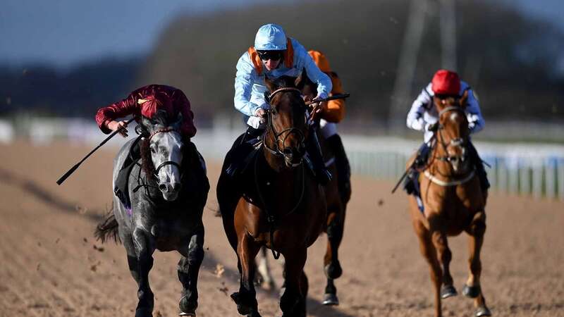 Brave Emperor: could contest the Kentucky Derby (Image: Getty Images)