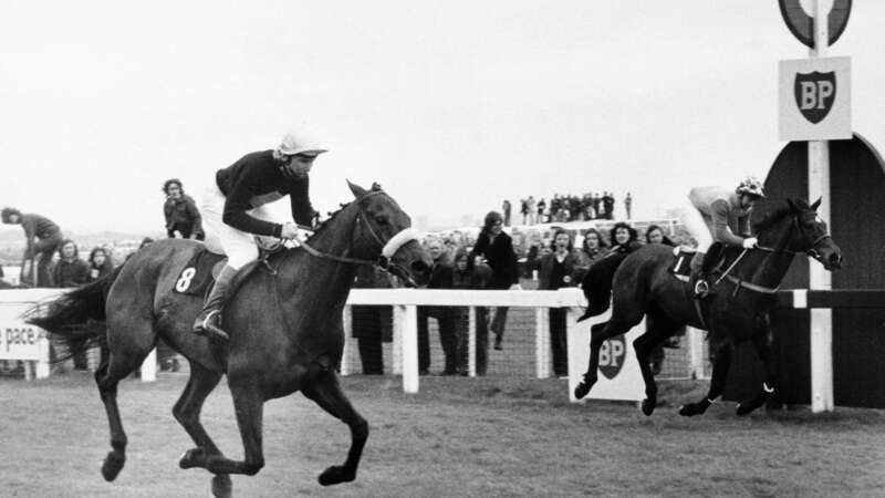 Red Rum "saved" the Grand National after costly error fuelled dramatic finish