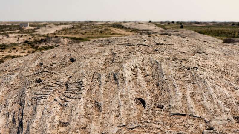 The Al Jassasiya rock carvings were discovered in 1957 and catalogued by archeologists in 1973 (Image: Getty Images/iStockphoto)