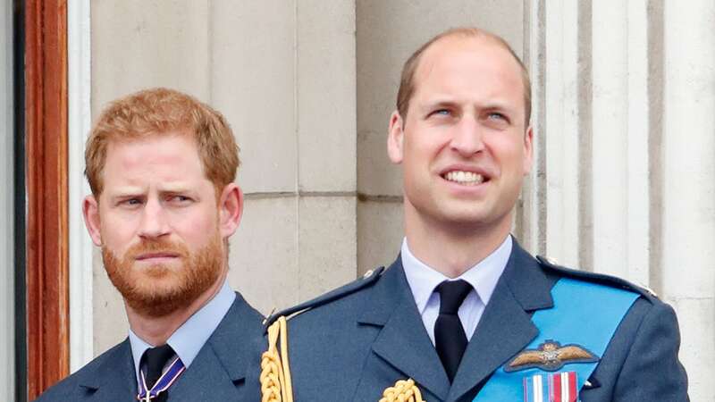 The princes, pictured here at the 100th birthday celebrations of the RAF, issued heartfelt tributes to Bryn Parry (Image: Getty Images)