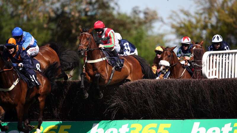 Francky Du Berlais will be ridden by Ben Jones in the 2023 Grand National (Image: PA)