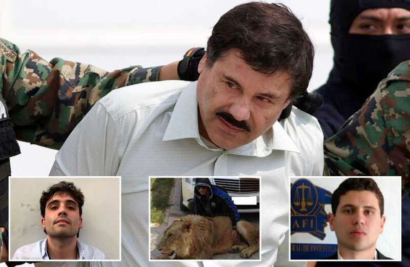 El Chapo's sons charged after 'feeding people ALIVE to tigers'