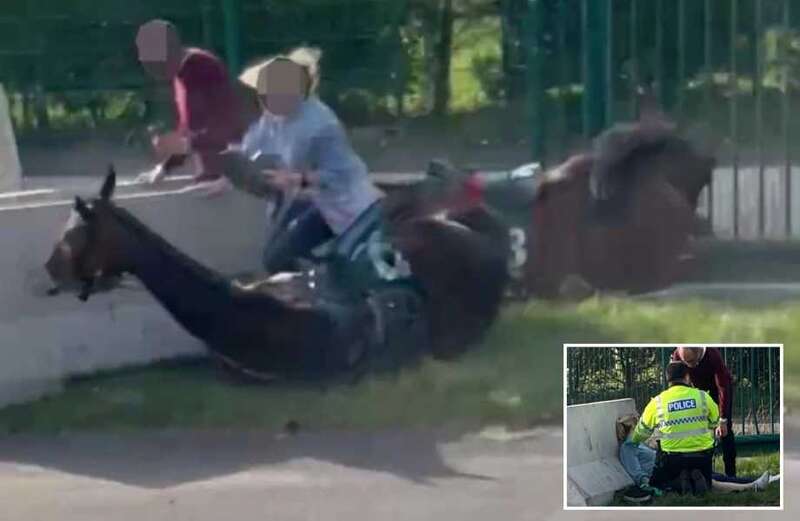 Shocking moment two stampeding horses smash into woman at Grand National