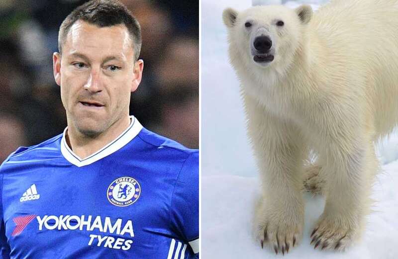 Terry's daughter 'warned polar bears roamed streets' to stop Moscow move