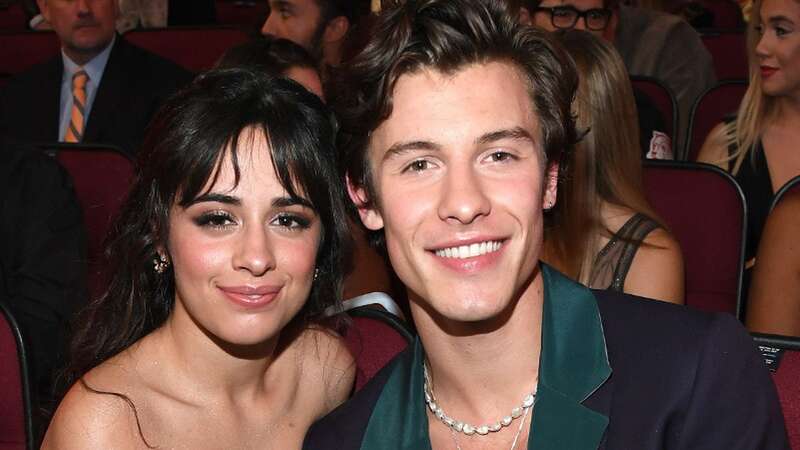 Shawn Mendes and Camila Cabello 