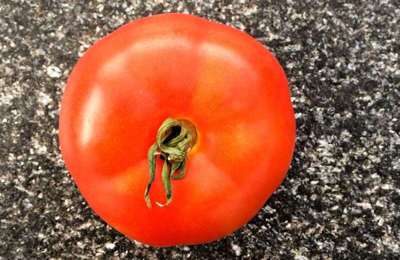 Mystery TOMATO thrower terrorising seaside town by hurling fruit at passers-by