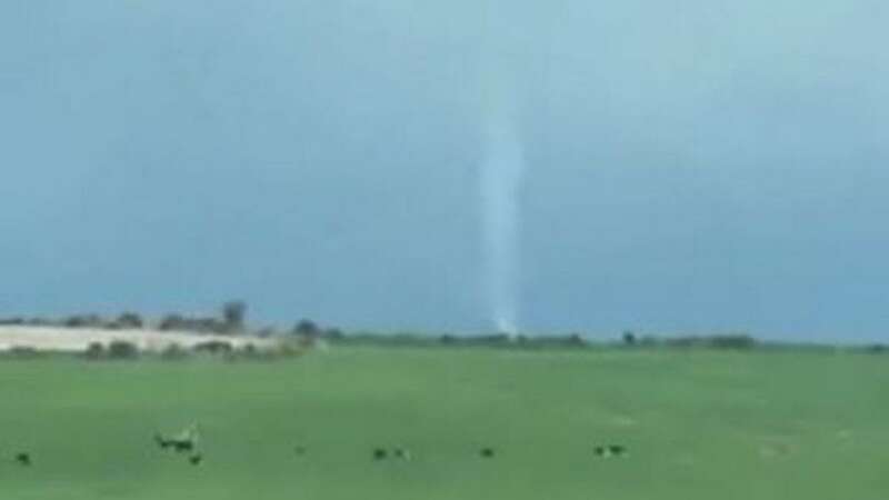 Frightened cows fled the tornado (Image: Cork Beo)