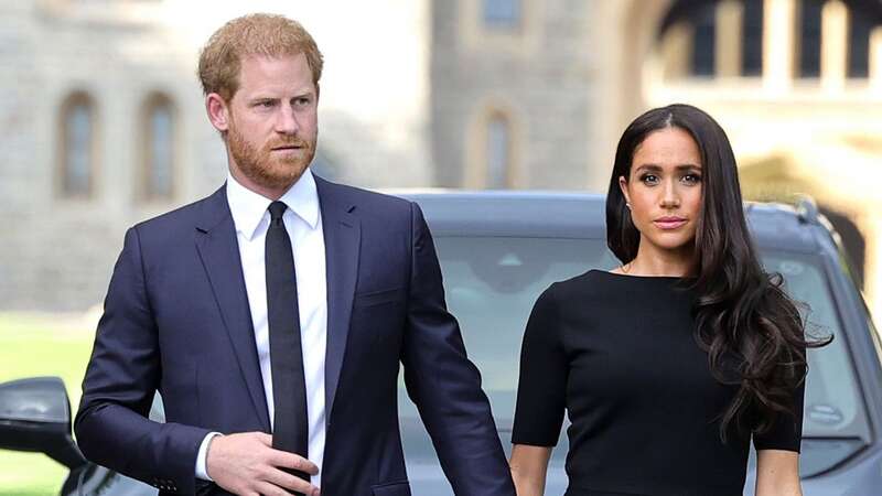 Prince Harry and Meghan Markle confirmed their relationship publicly in November 2016 (Image: Getty Images)