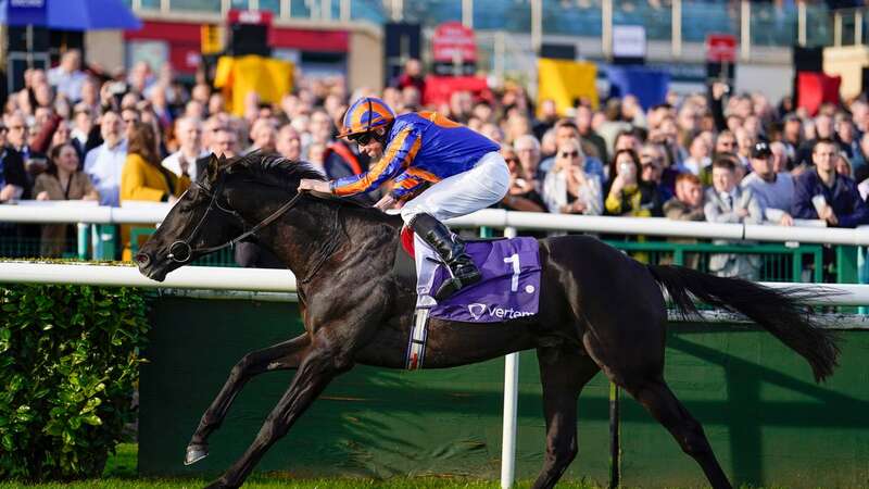 Auguste Rodin: favourite for the 2,000 Guineas (Image: Getty Images)