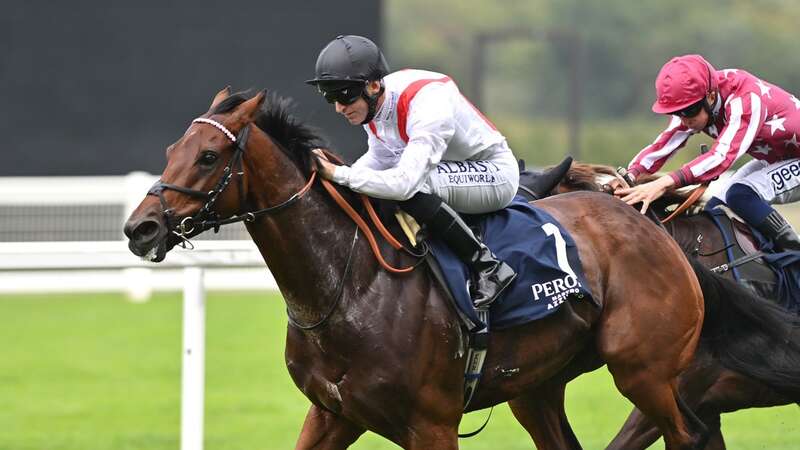 Hamish wins The Peroni Nastro Azzurro Cumberland Lodge Stakes at Ascot and is fancied to win at Chester on Thursday (Image: REX)