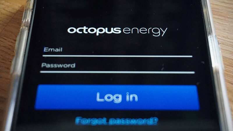 Bulb customers are having their energy accounts switched to Octopus (Image: AFP via Getty Images)