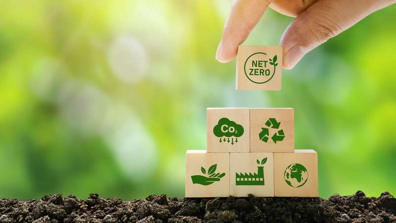 The government has set a net zero target for all UK sectors by 2050 (Image: Sakorn Sukkasemsakorn/Getty Images)