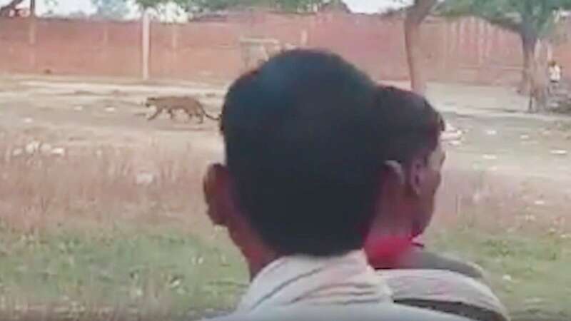 Moment leopard goes on rampage through village before it mauled six victims