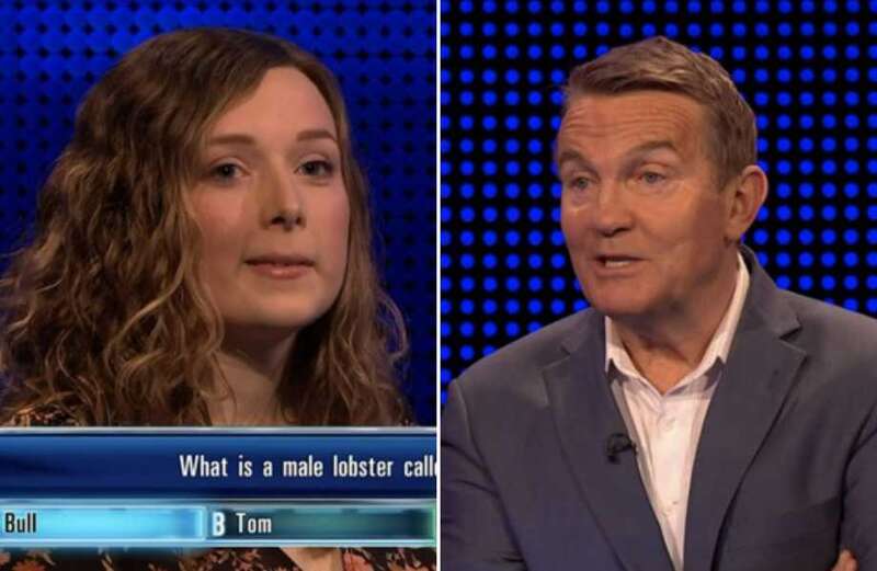 ITV The Chase fans left howling over Bradley Walsh's x-rated 'c**k' innuendo