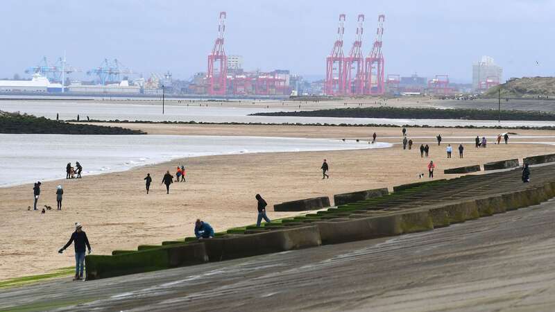 The sharks were found on Leasowe Beach in Merseyside (Image: Andrew Teebay/Liverpool Echo)