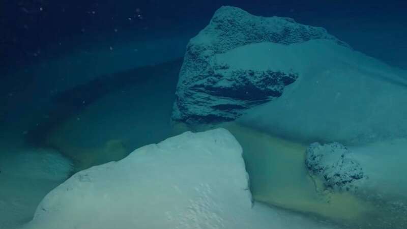 University of Miami researchers came across the brine pools while exploring in the Gulf of Aqaba (Image: OceanX)