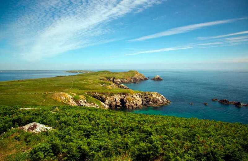 The breathtaking island with puffins, seals & amazing views 2 hours from Dublin