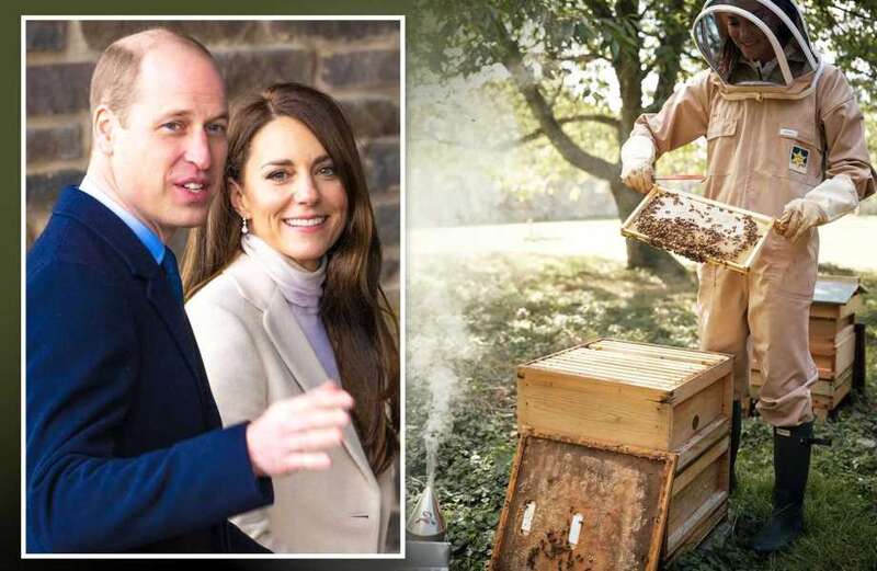 Kate Middleton pictured collecting honey to mark World Bee Day