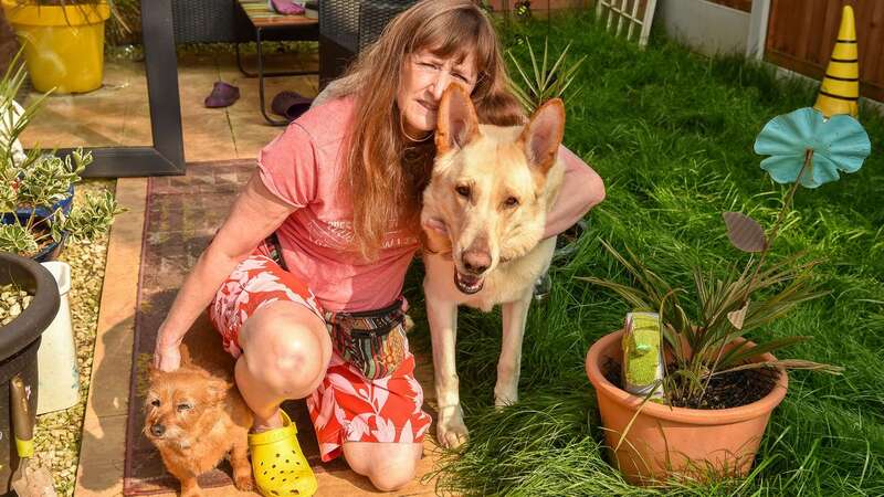 Jane with her beloved dogs Wilf and Gladys (Image: Emma Trimble / SWNS)