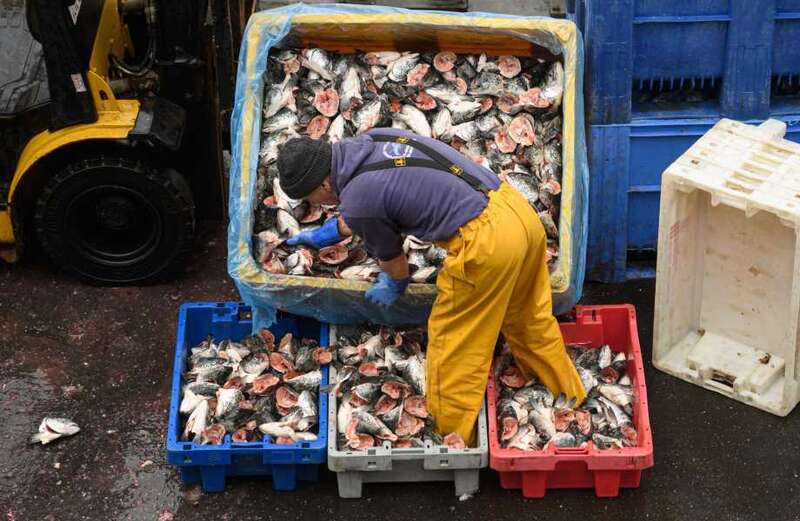 Foreign fishermen will be invited to man UK boats amid major skills shortage