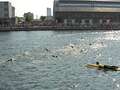 Athlete dies during swim section of UK triathlon as witnesses try to save them qhiddkiruidrdprw