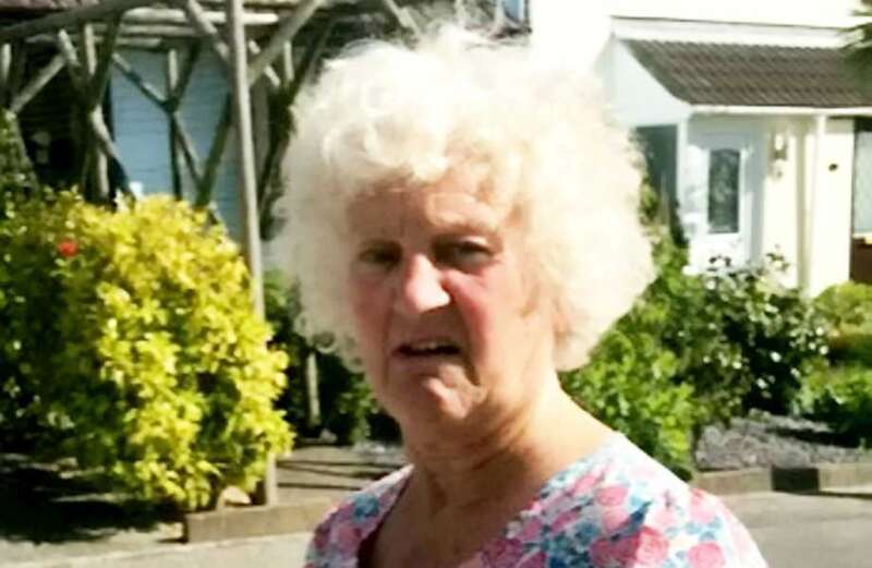 OAP 'flung dog poo into neighbour's garden & tried to poison cat'