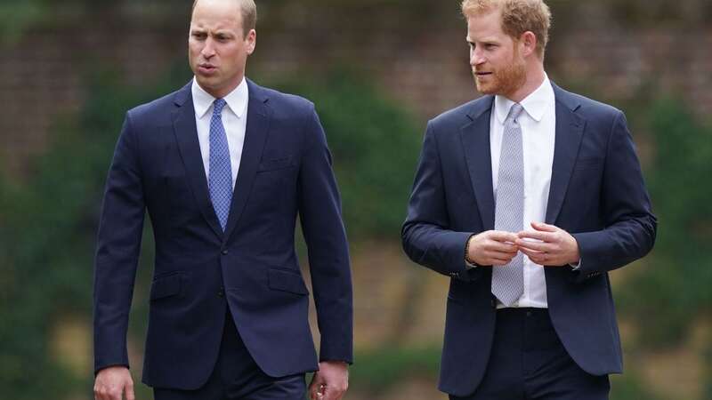 The Duke of Sussex and Prince of Wales met a week before Harry announced his engagement to Meghan Markle (Image: Getty Images)