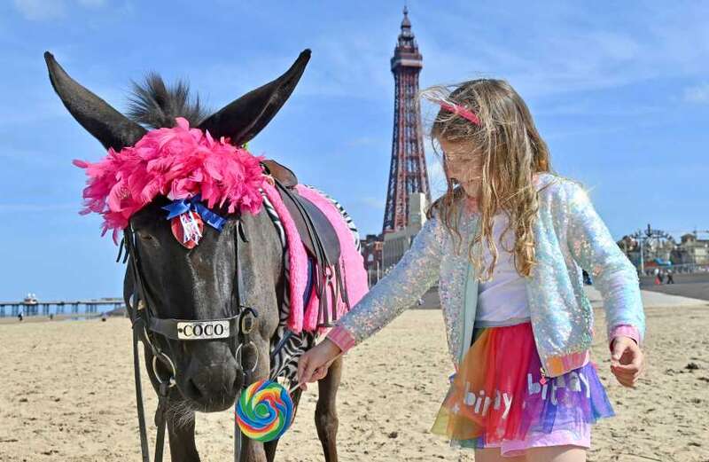 Sun-kissed Brits share lolly with Coco the donkey on Blackpool beach