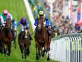 Derby 2023 horse-by-horse guide with latest odds, tips and 1-2-3 prediction