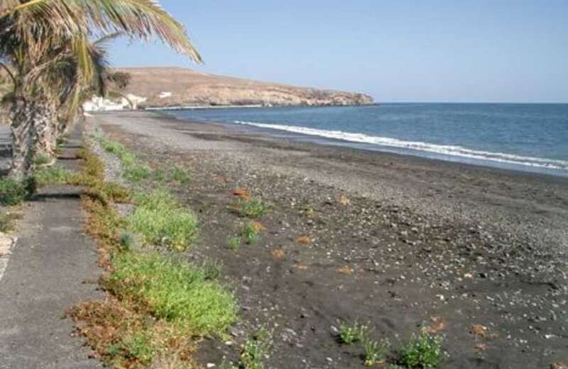 Brit holiday warning for popular beach after toxic algae plagues shoreline