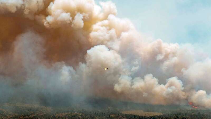 Wildfire burning near Barrington Lake in Shelburne County, Nova Scotia (Image: AP)