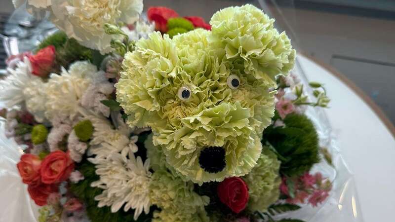 When the bouquet arrived, she realised what had happened - as she was looking at floral puppies (Image: Sarah Hollingsworth / SWNS)