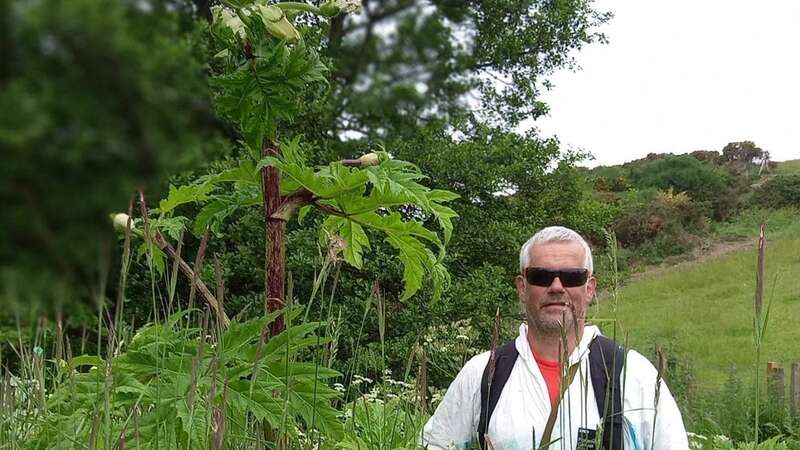 Martyn Ferguson has warned about the effects of giant hogweeds (Image: Credit: Martyn Ferguson/Pen News)